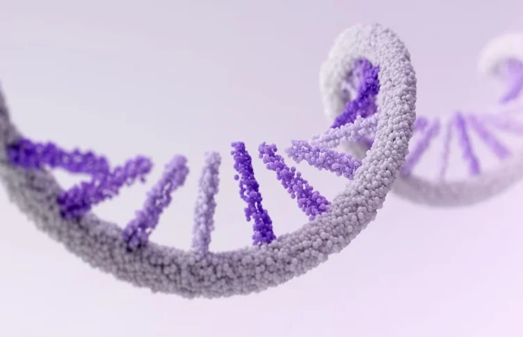 原始演示资料中的 DNA 双螺旋概念图，非显微或检测影像